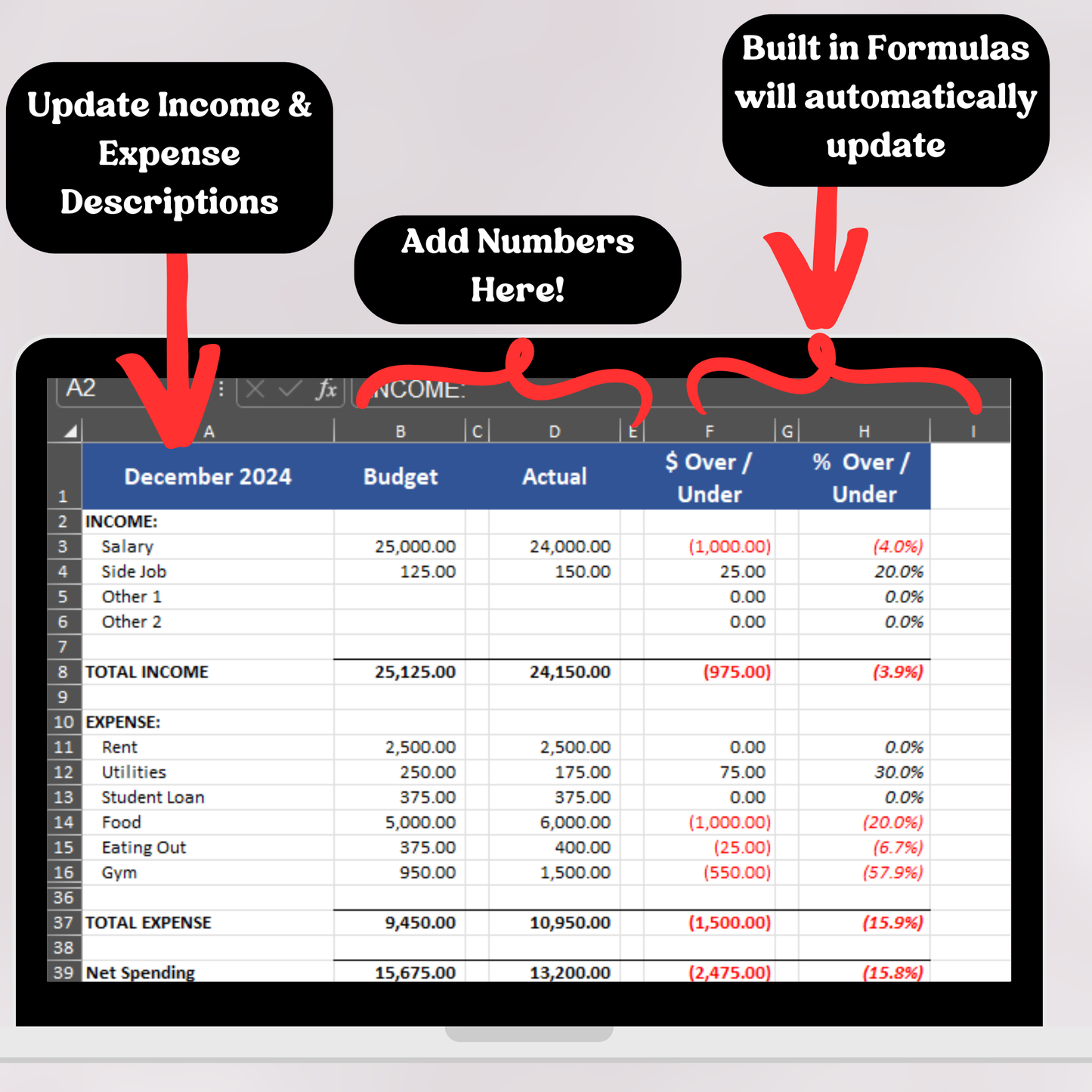 Profit & Loss with Budget (Excel)